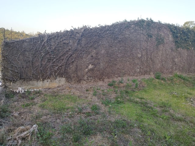 Foto cadastro cód. 12796