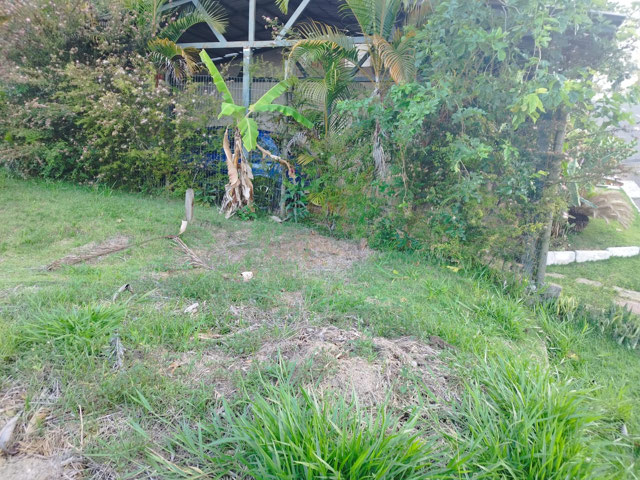 Foto cadastro cód. 12796