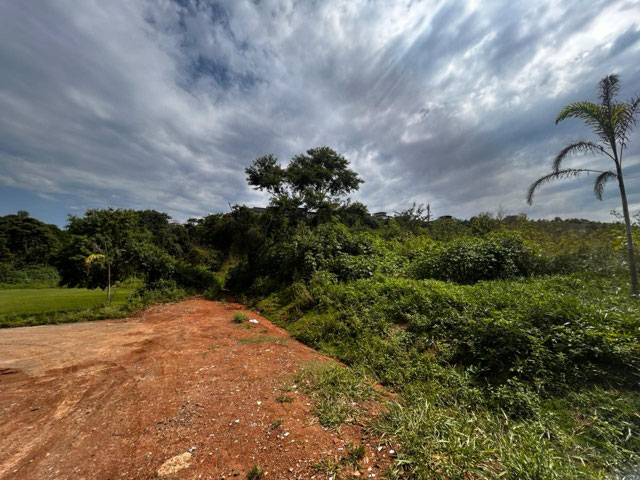 Foto cadastro cód. 12806