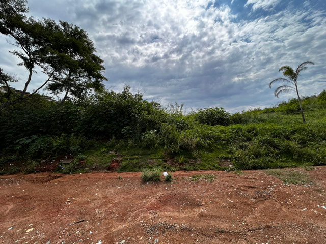 Foto cadastro cód. 12806