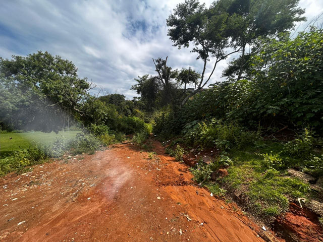 Foto cadastro cód. 12806