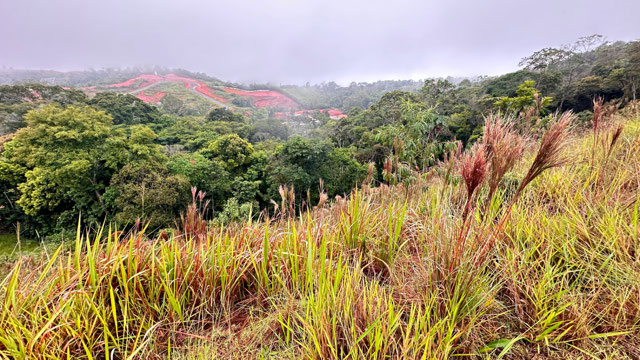 Foto cadastro cód. 12854