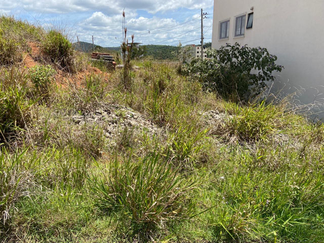 Foto cadastro cód. 12880