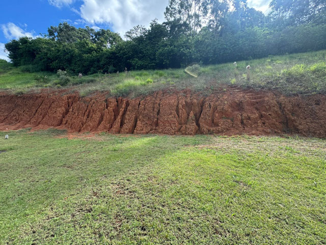 Foto cadastro cód. 12902