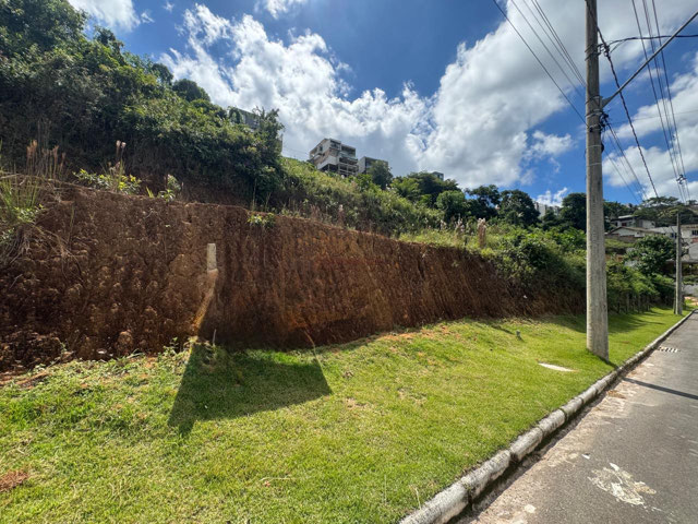 Foto cadastro cód. 12953