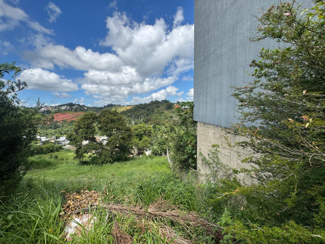 Foto cadastro cód. 12954