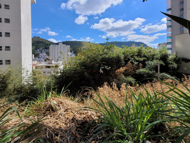 Foto cadastro cód. 12970