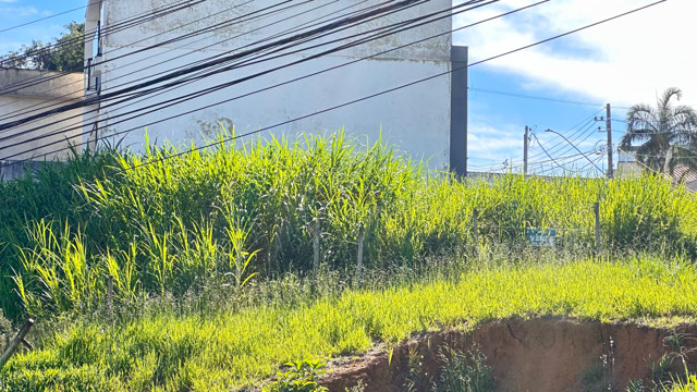 Foto cadastro cód. 12984