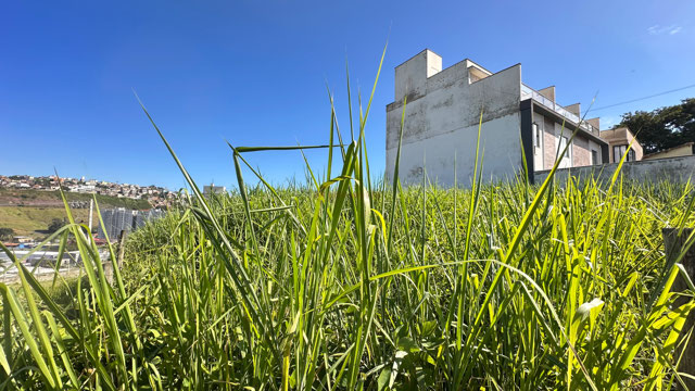 Foto cadastro cód. 12984