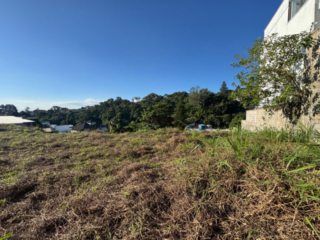 Foto cadastro cód. 12987