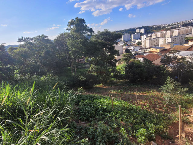 Foto cadastro cód. 12997