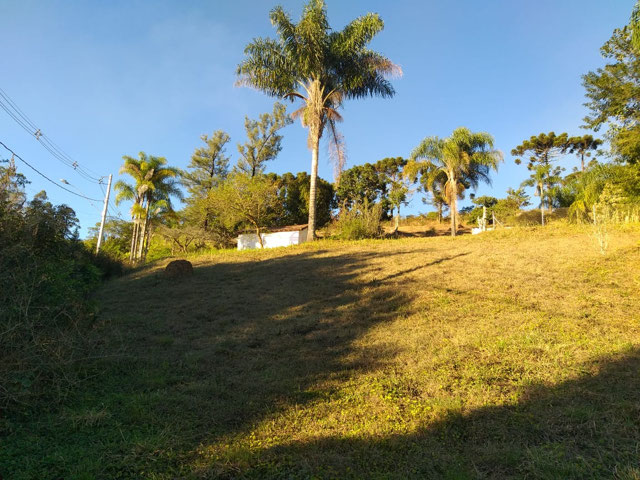 Foto cadastro cód. 13371