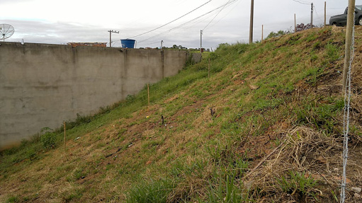 Foto cadastro cód. 8739