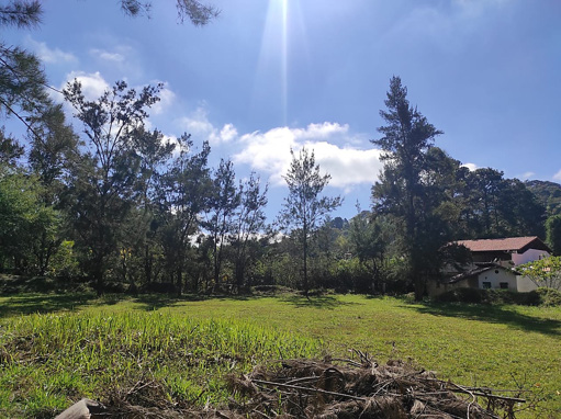 Foto cadastro cód. 9322