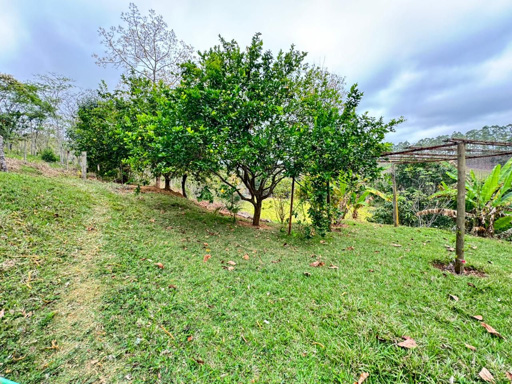 Foto cadastro cód. 2723