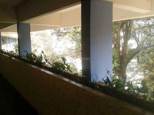 Foto cadastro cód. 2963