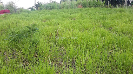 Lote / Terreno para venda no bairro Santa Cruz em Juiz de Fora, MG