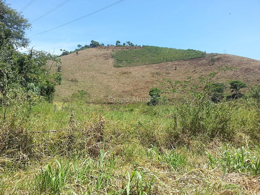 Fazenda para venda no bairro Paula Lima em Juiz de Fora, MG