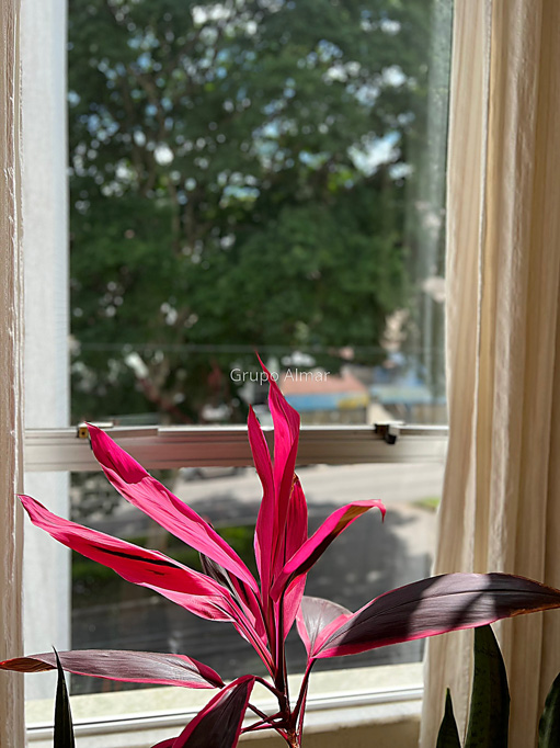 Foto cadastro cód. 7363