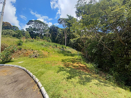 Foto cadastro cód. 7896