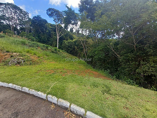 Foto cadastro cód. 7896