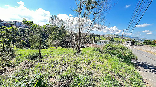 Foto cadastro cód. 8038