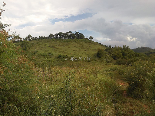 Terreno à venda, 11 Hectares por R$ 450.000 - Paula Lima - Juiz de Fora/MG