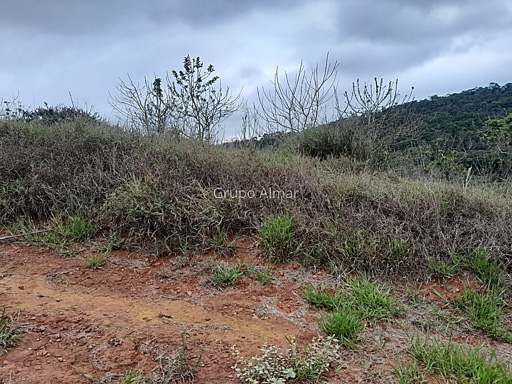 Foto cadastro cód. 8150