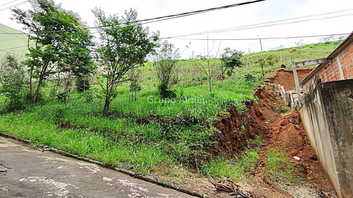 Foto cadastro cód. 8256