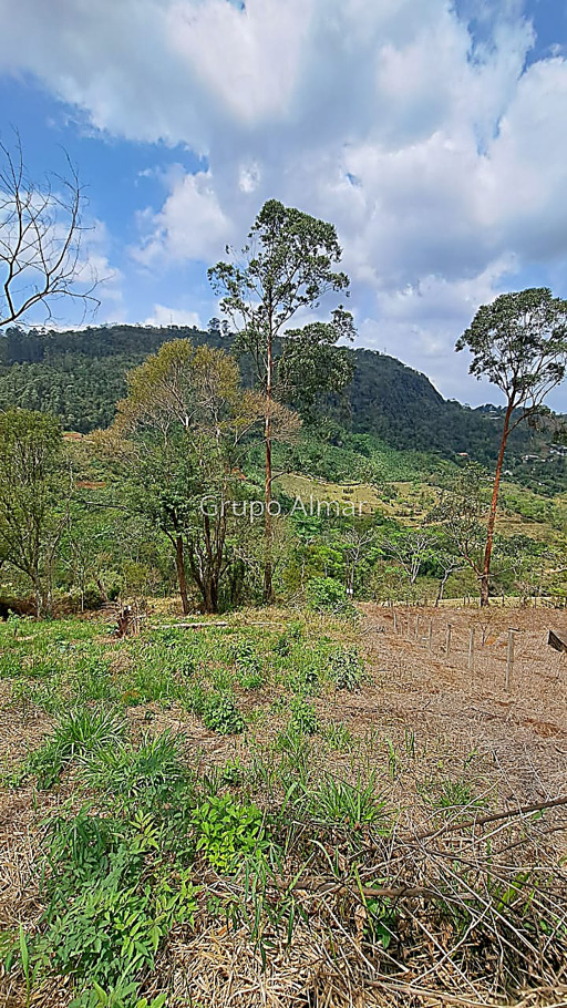 Foto cadastro cód. 8329