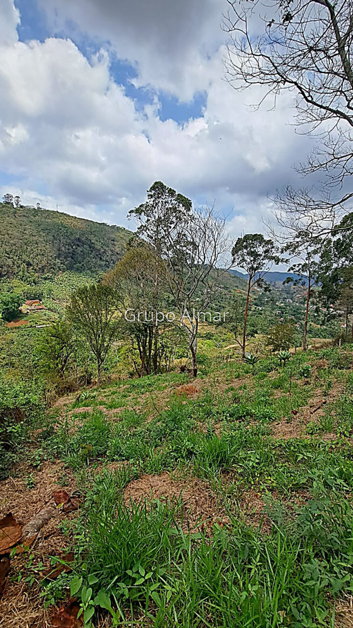 Foto cadastro cód. 8329