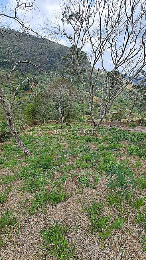 Foto cadastro cód. 8329