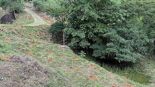 Foto cadastro cód. 8483