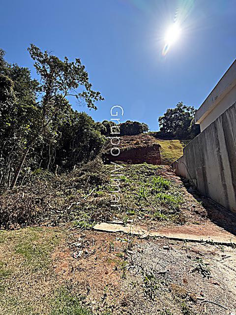 Foto cadastro cód. 8904