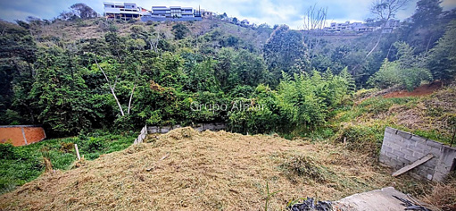 Foto cadastro cód. 9002