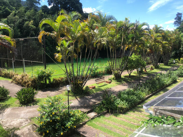 Foto cadastro cód. 113