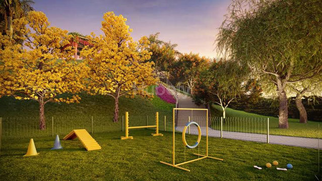 Foto cadastro cód. 397