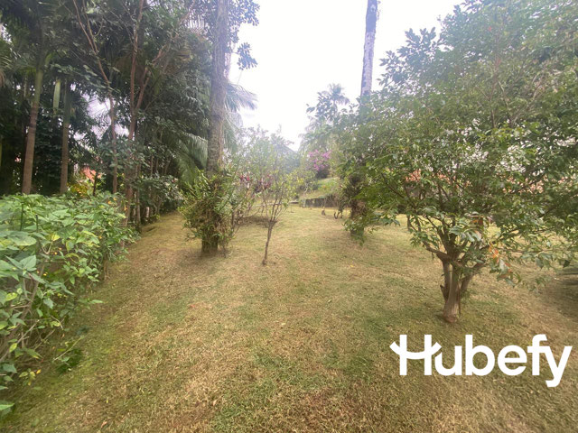 Foto cadastro cód. 501