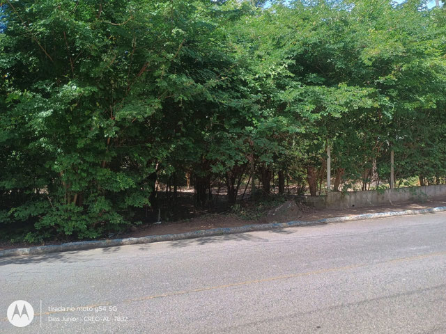 Foto cadastro cód. 8