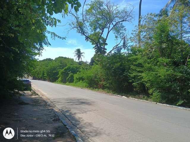 Foto cadastro cód. 8