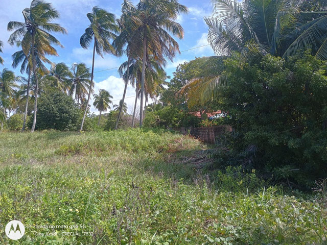 Foto cadastro cód. 8