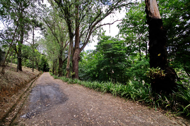 Foto cadastro cód. 3219