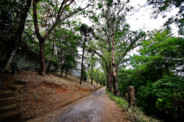 Foto cadastro cód. 3219