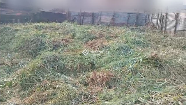 Foto cadastro cód. 3401