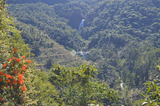 Foto cadastro cód. 3507