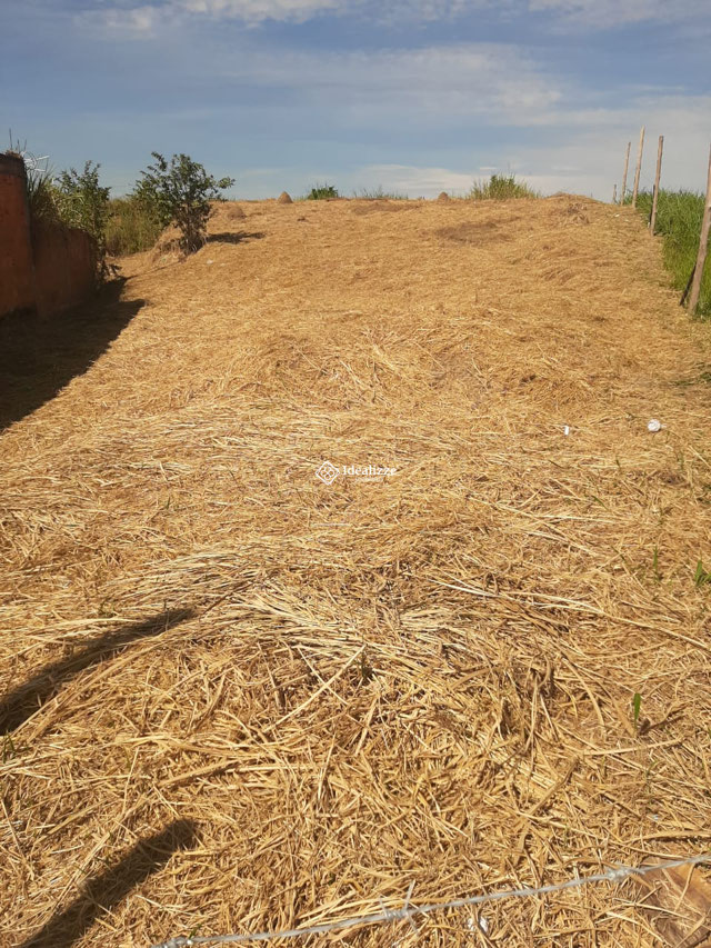 Foto cadastro cód. 3717