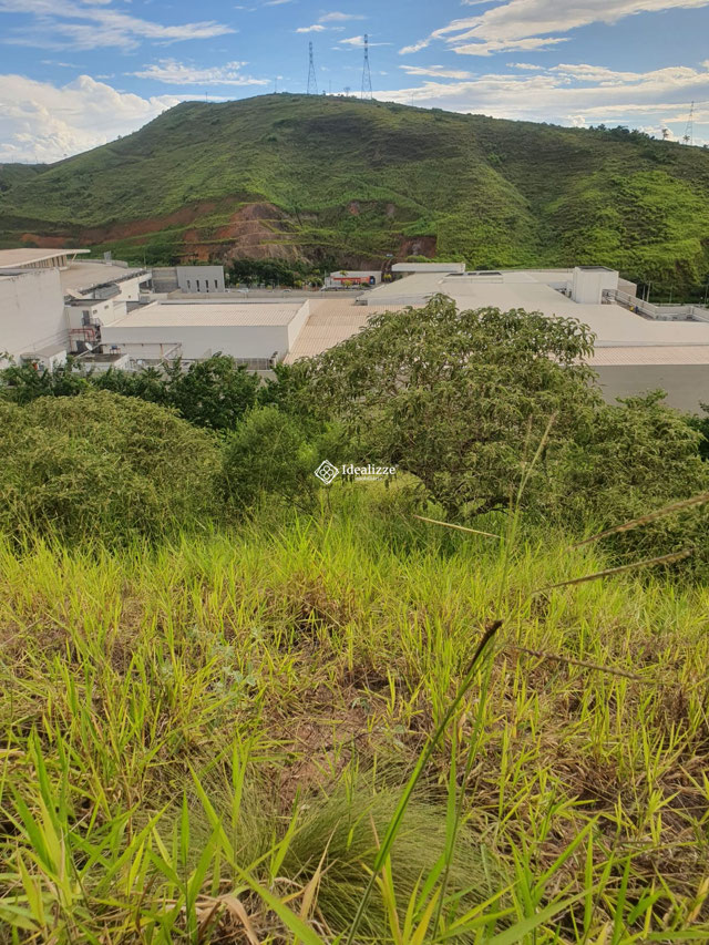 Foto cadastro cód. 3803