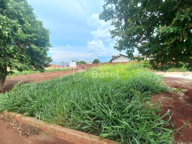 Foto cadastro cód. 1010