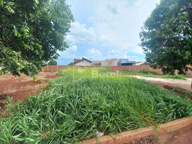 Foto cadastro cód. 1010