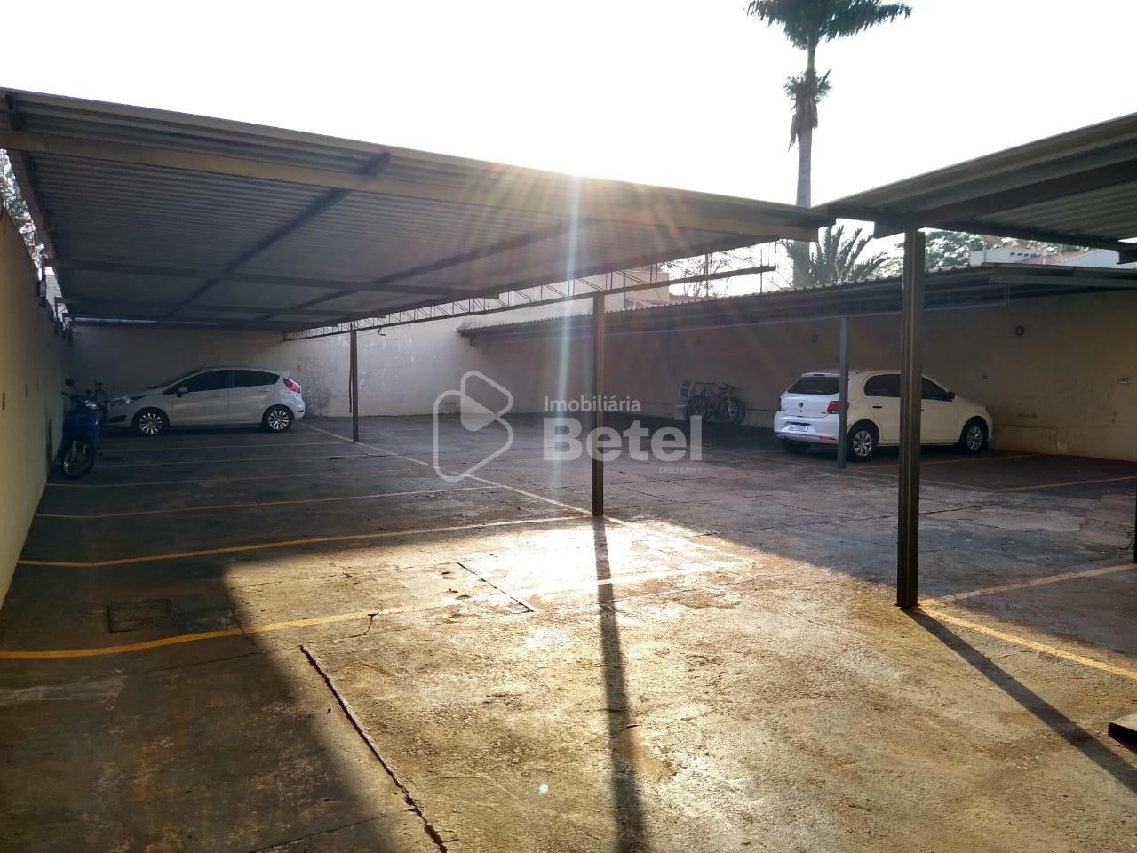 Apartamento na Vila Planalto, foto 4 de 13